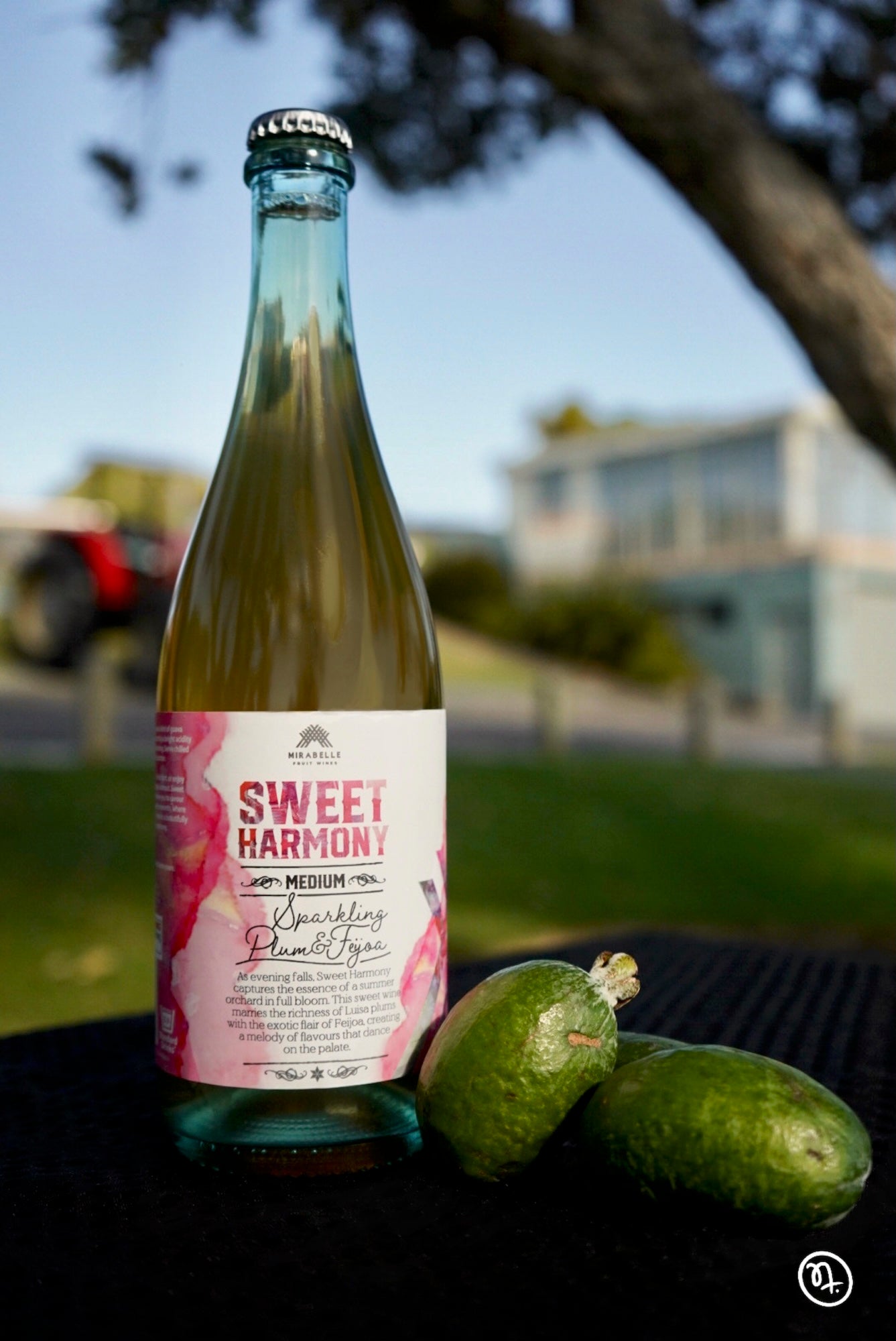 Tasting Night: Mirabelle Wines with Food Pairings