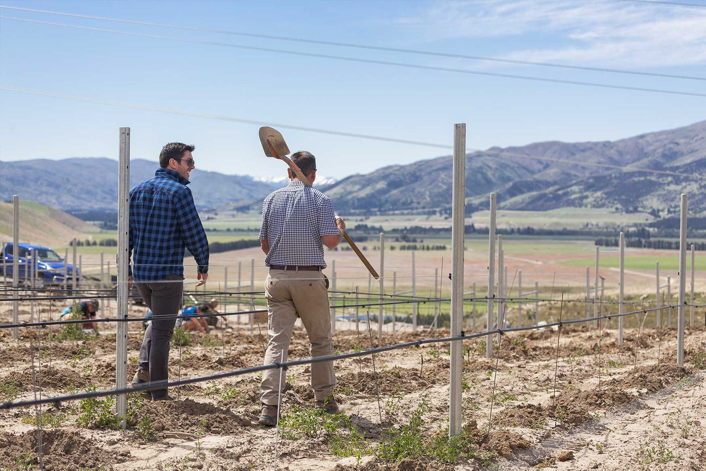 Tasting Night: Peregrine Wines